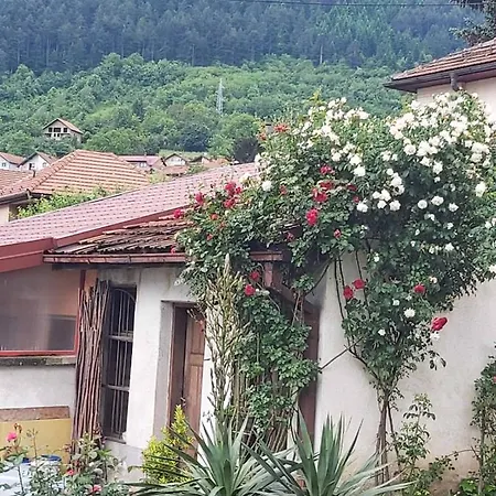 Апартаменты Kraljevac